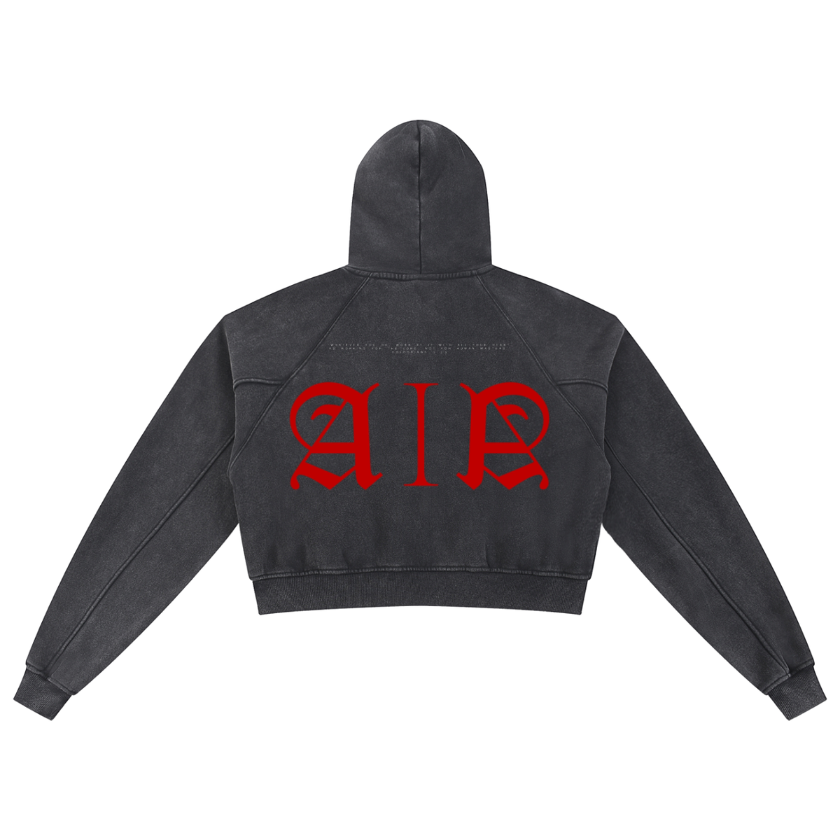 Classic Art Ink Aura Crop Hoodie