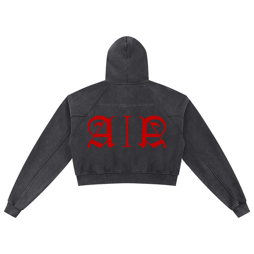Classic Art Ink Aura Crop Hoodie