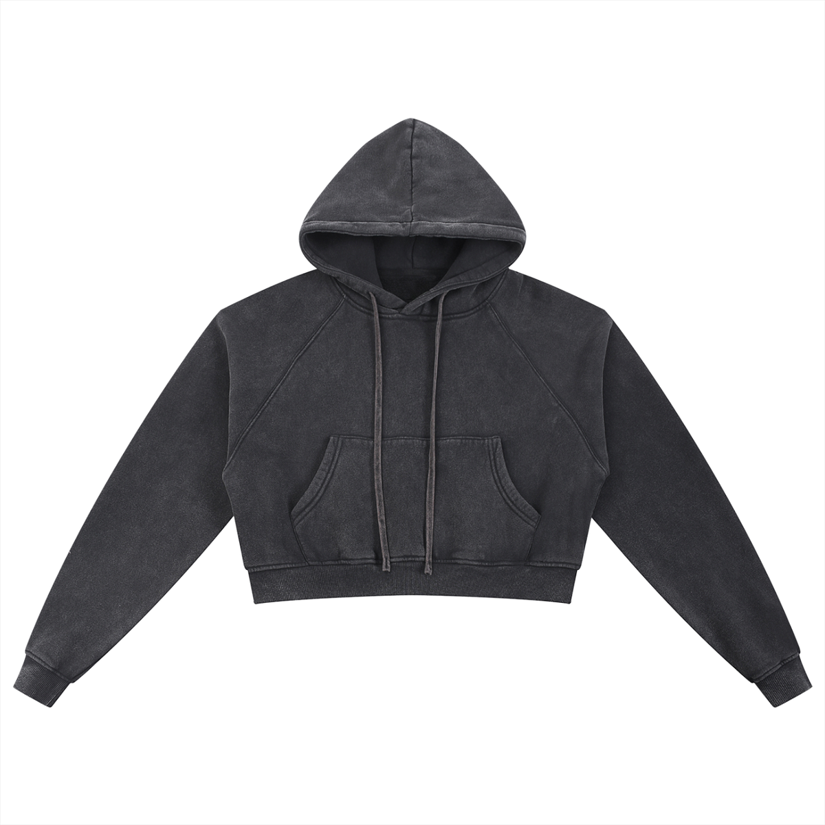Classic Art Ink Aura Crop Hoodie